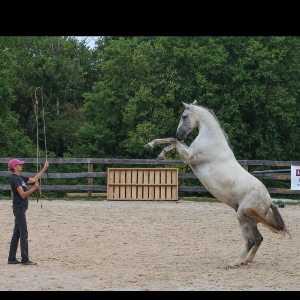 Meet your Posher, Barbara